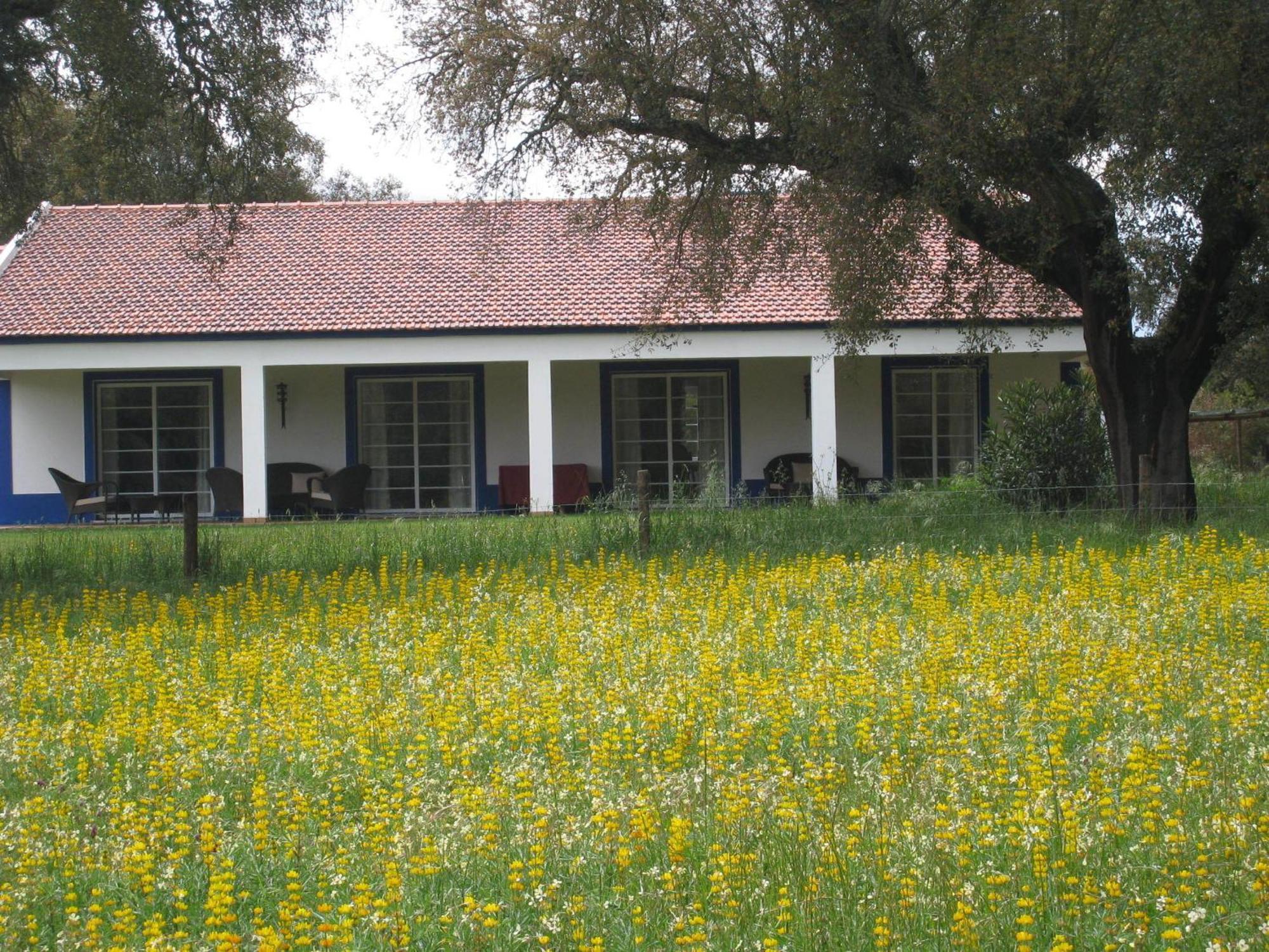 Monte Das Faias Cork Farm Hotel Grândola Eksteriør billede
